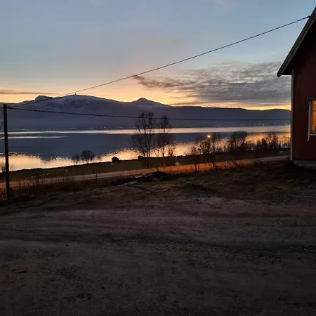 Rodstua